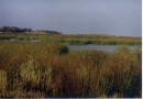 Durankulak lake  ©   Pandion Wild Tours